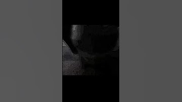 Chipi chipi chapa chapa cat | #viral #softwareengineer #coding #codinglife #codingmemes