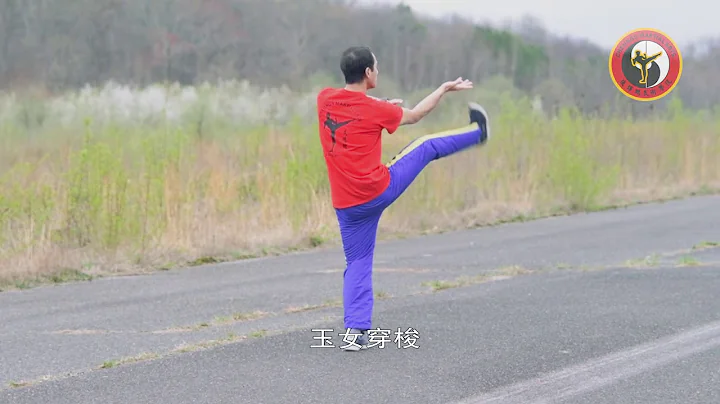 赵堡和式太极拳 - 天天要闻