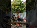 Significance of Amalaki Amla Indian Gooseberry Ekadashi