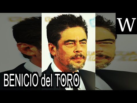 Video: Benicio del Toro Net Worth