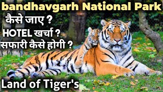 Bandhavgarh National Park | Bandhavgarh Tiger Reserve | how to book tiger safari | how to Reach