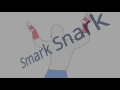 New smark snark theme song