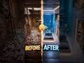 Buried underground for years…Now it’s a luxury space ✨#restoration#construction #underground#design