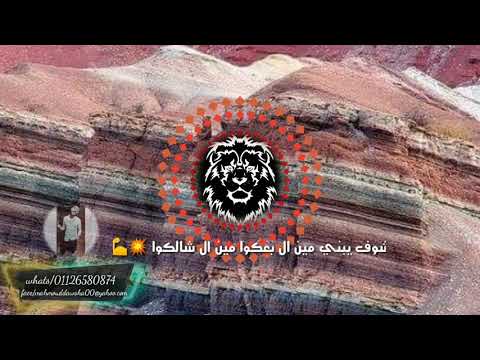 حالات واتس مهرجانات ريشا كوستا عملت انا كل الي ف خيالكوا