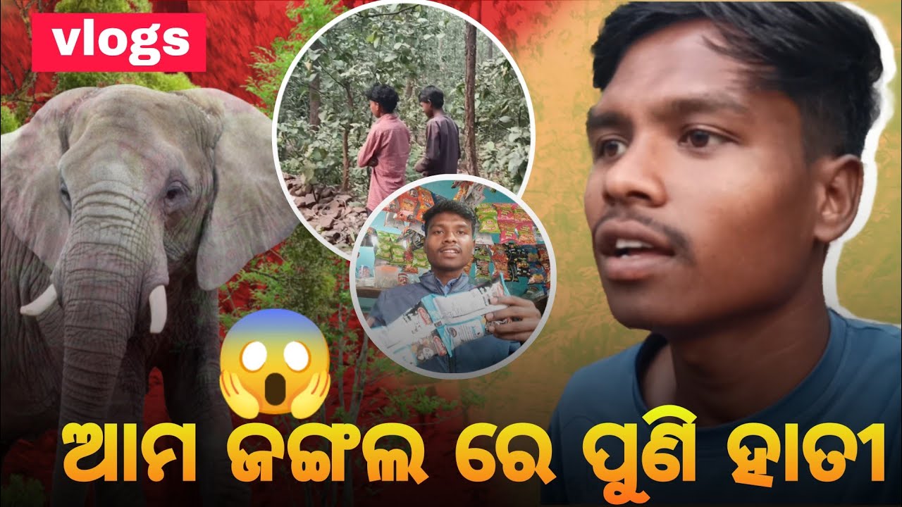 Ama jungle re puni hatee