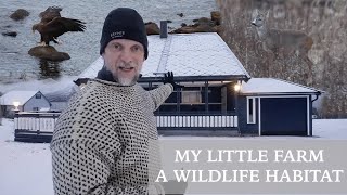 My NEW farm in NORTHERN NORWAY // A WILDLIFE HABITAT by Alfred Lucas 1,072 views 1 year ago 17 minutes