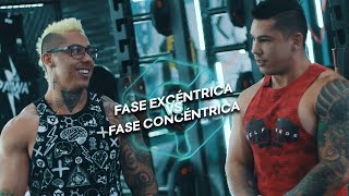Fase Excéntrica Vs Fase Concéntrica