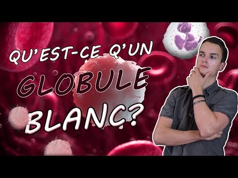 Vidéo: Est-ce que le dun est blanc ?