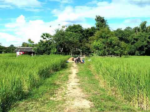 เพลงเมืองไทยของเรางดงามตระการ