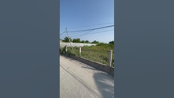 Đất Cần Giuộc giá rẽ - Bán Gấp Đất Mặt Tiền Quá Đẹp Làm Nhà Vườn Nghĩ Dưỡng / #shotrs #shorts #short