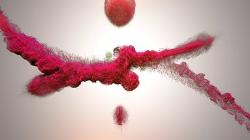 Ma Colorful Particles [₹1999] ♣ Logo Animation & Video Maker Kolhapur