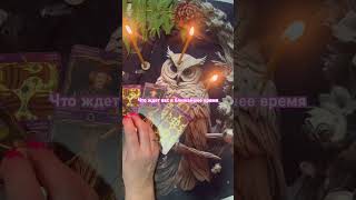 События ближайшего времени #таропрогноз  #tarot #магиятароонлайн