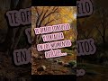 Dios te lo dio todo! #viviendoconfe #cristoteama #buenosdias #paz #salvacion