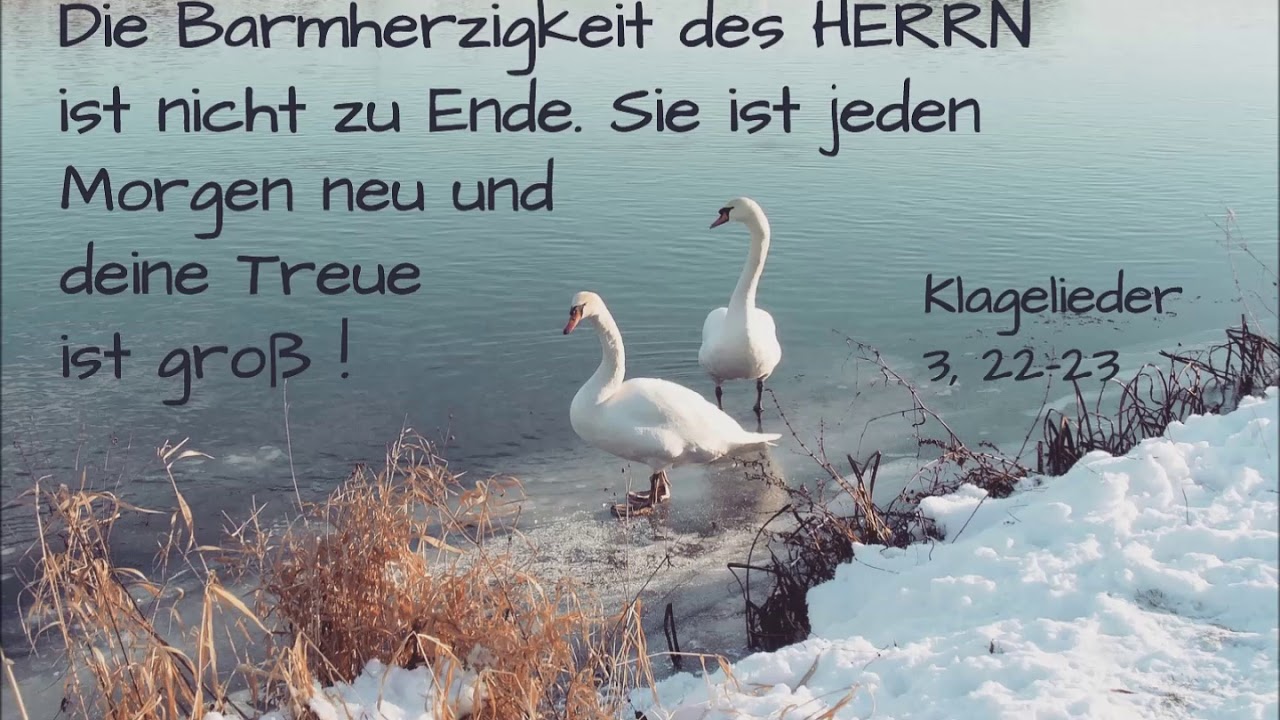 Vergiss Nicht Zu Danken Dem Ewigen Herrn Vergiss nicht zu danken dem ewigen Herrn - YouTube