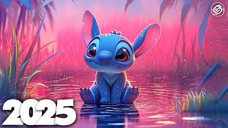 EDM Mashup Mix 2025 | Best Mashups & Remixes of Popular Songs - Party Music 2025
