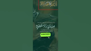ٱللَّهُ ٱلَّذِى خَلَقَ ٱلسَّمَـٰوَٰتِ وَٱلْأَرْضَ |محمد عمر| سورة السجدة  #Thequransplendor #ytshort