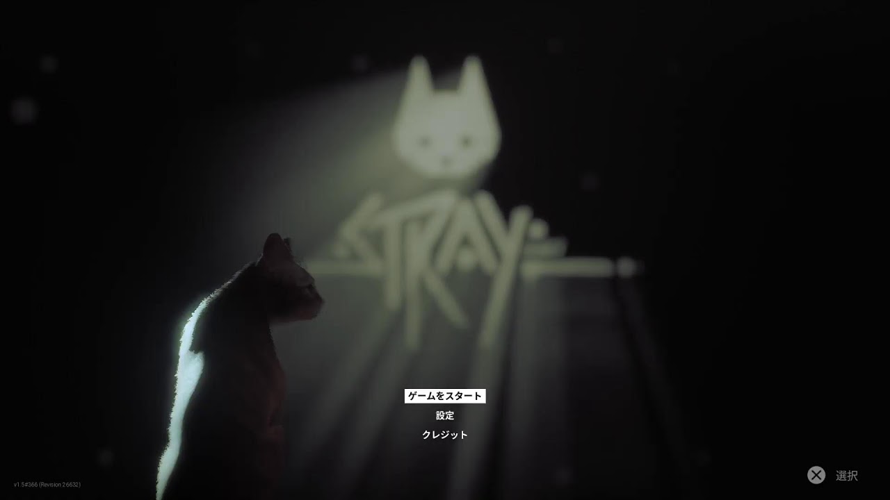 [Stray