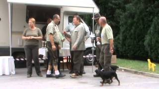 Ispit Poslije Pucnja Slovenija