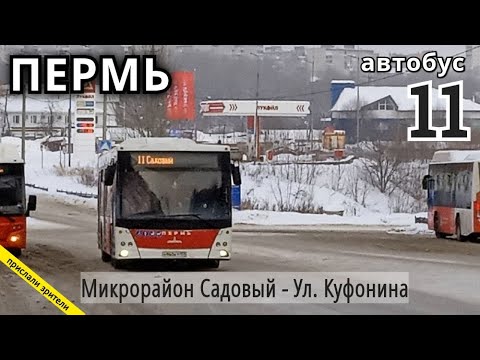 Пермь автобус 39. 11 Автобус Пермь. 55 Автобус Пермь. Автобус 11 Пермь микрорайон садовый-улица Куфонина. 39 Автобус Пермь.