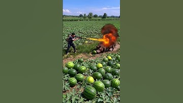 poor little pig#farm #farming  #satisfying #farmer #nature