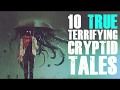 10 TRUE Skinwalker Stories and Cryptid Tales | Raven Reads