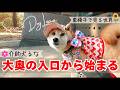 車椅子で「大奥の入口」へ！介助犬と進む歴史の道