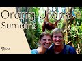 Orang Utans auf Sumatra ● Indonesien ⦿ Weltreise Vlog #47