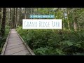 Spring walk at Grand Ridge Park