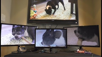 Watch your movies on multiple Raspberry Pi screens