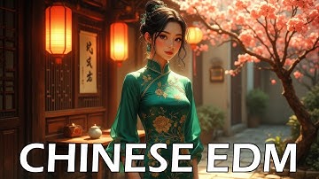 Echo Beats for Coding - 中國電音 - Chinese EDM - Music for Coding