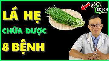 8 Lợi Ích Của Lá Hẹ Chữa Được 8 Căn Bệnh Thường Gặp Nhất – Kênh Sức Khoẻ Bổ Ích