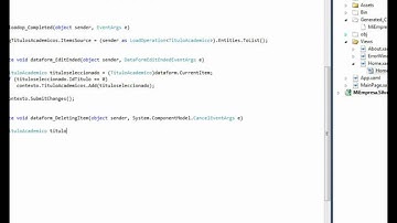 Entity Framework + RiaServices + DataForm Silverlight  2-3