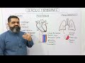 Exploring Serous Membranes and Their Functions in Human Anatomy