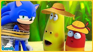 LARVA TUBA: Cartoons  Comics | CARTOON FULL MOVIES | YELLOW, RED AND BLUE  CARTOONS BOX 560