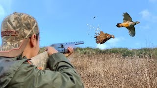 Chasse Perdrix et Lievre au Maroc 2019 | MEKNES - PARTIE III