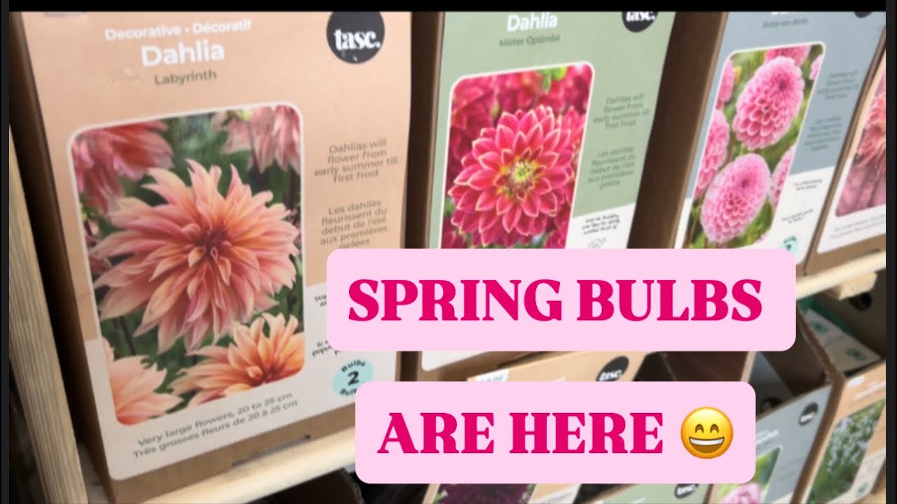 “HOME DEPOT GARDEN CENTRE- Best New Spring Bulds 🤯🌸