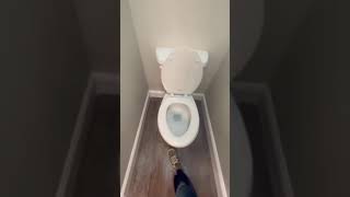 1827 s Pennsylvania Joplin move in