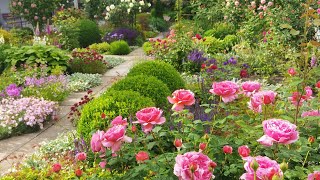 04.06.21. Обзор роз. Как я подбираю сочетания цветов. Новый декор в саду. Читаем описание под видео.