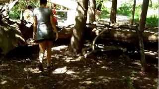 My Chemical Romance - Summertime (Unofficial Music Video)