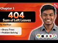 LeetCode Sum of Left Leaves Explained - Java
