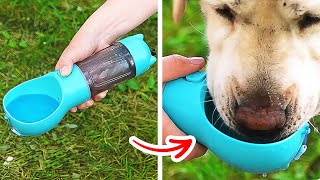 Cute And Clever Pet Gadgets And Hacks That Will Save Your Time And Money