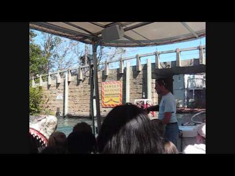 The Jaws Ride with Skipper Camden - Universal Orla...