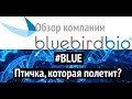 BLUEBIRD BIO биотех с потенциалом роста, обзор компании #BLUE