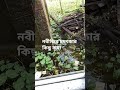 নবীজির চমৎকার কিছু কথা 🤲 #shorts #viral #islamic #trending #short #video #religion্ল।