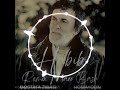 Habib Maro Baash Remix Mostafa Zibaei Homayoun ریمیکس آهنگ ماروباش حبیب مرد تنهای شب 