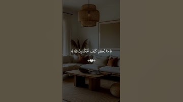 القران الكريم راحة نفسية تلاوة خاشعة حالات واتساب قران كريم 💙🩵🍁🍁💙 #حالات_واتس_اب