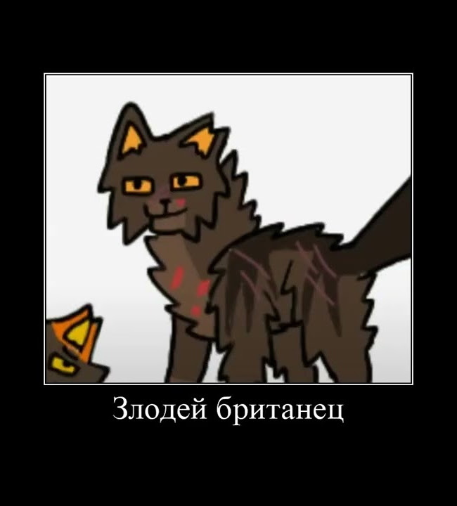 В главных ролях: Коты-Воители (первый цикл) - YouTube