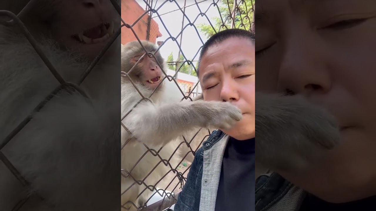 I am so emotional right now 👌🥰