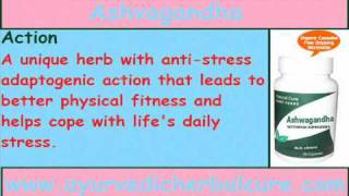 Ashvagandha Herbal Supplement for Stress Management