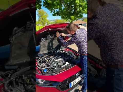 Video: Sind Mazda-Schützlinge gute Autos?